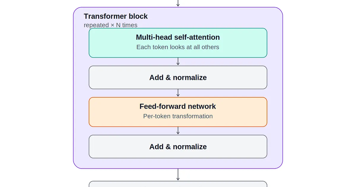The Transformer Architecture: How Foundation Models Actually Work