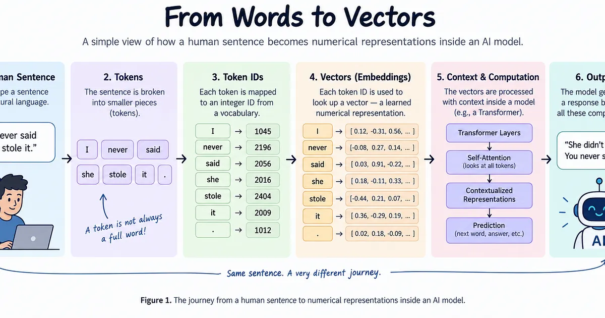From Words to Vectors: How AI Turns Human Language Into Data